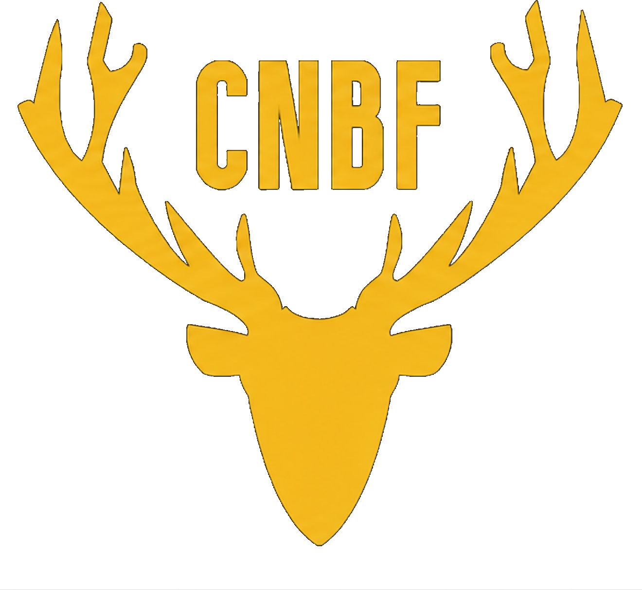 Club de natation des Bois-Francs